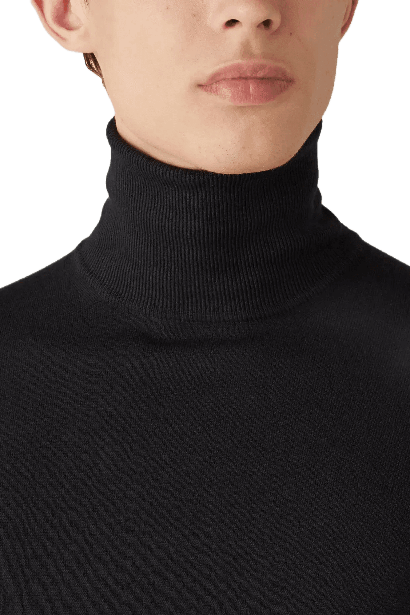 <tc>Loro Piana</tc> 男士高領衫