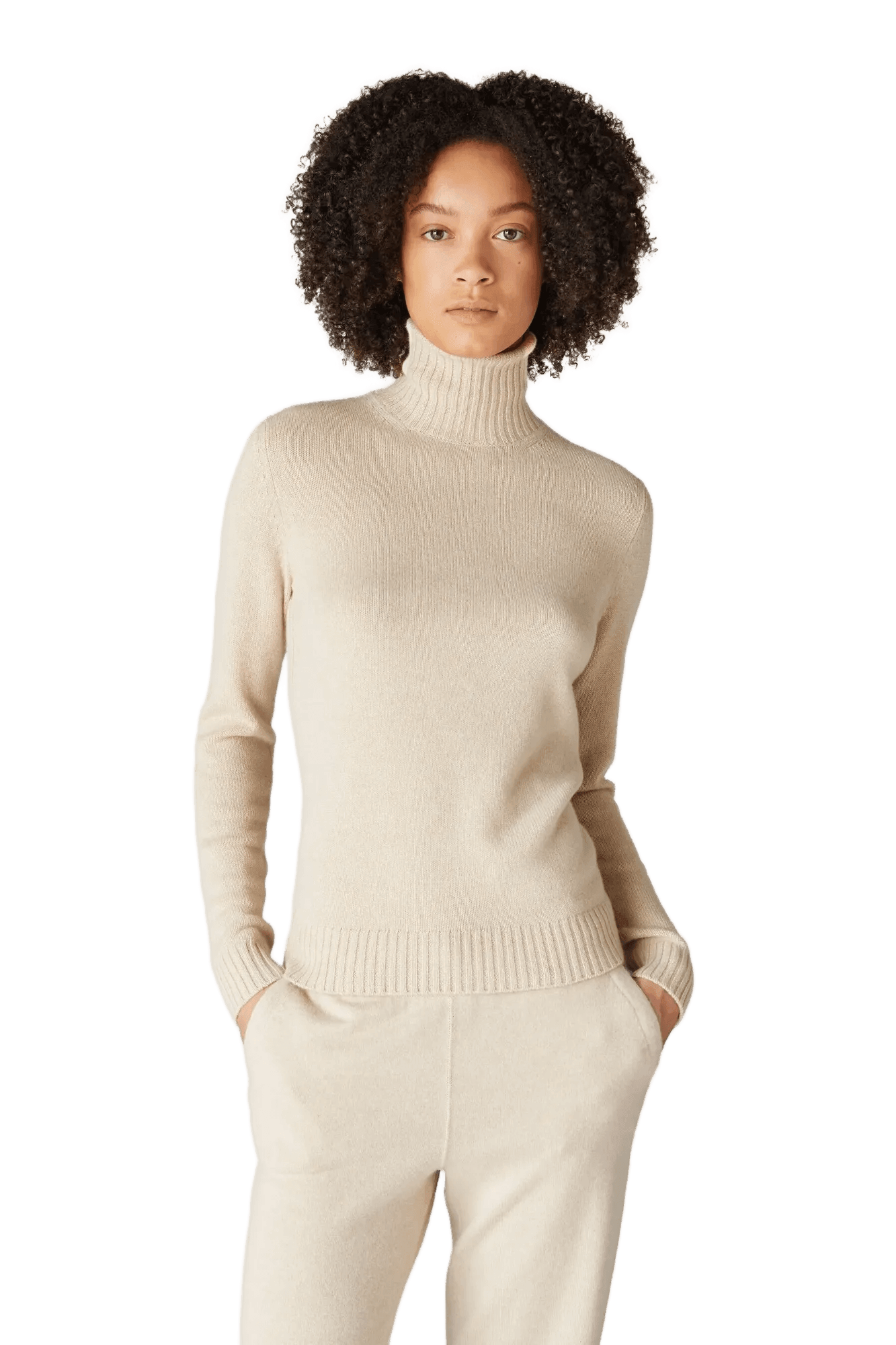 <tc>Loro Piana</tc> เสื้อคอเต่า Parksville สำหรับผู้หญิง