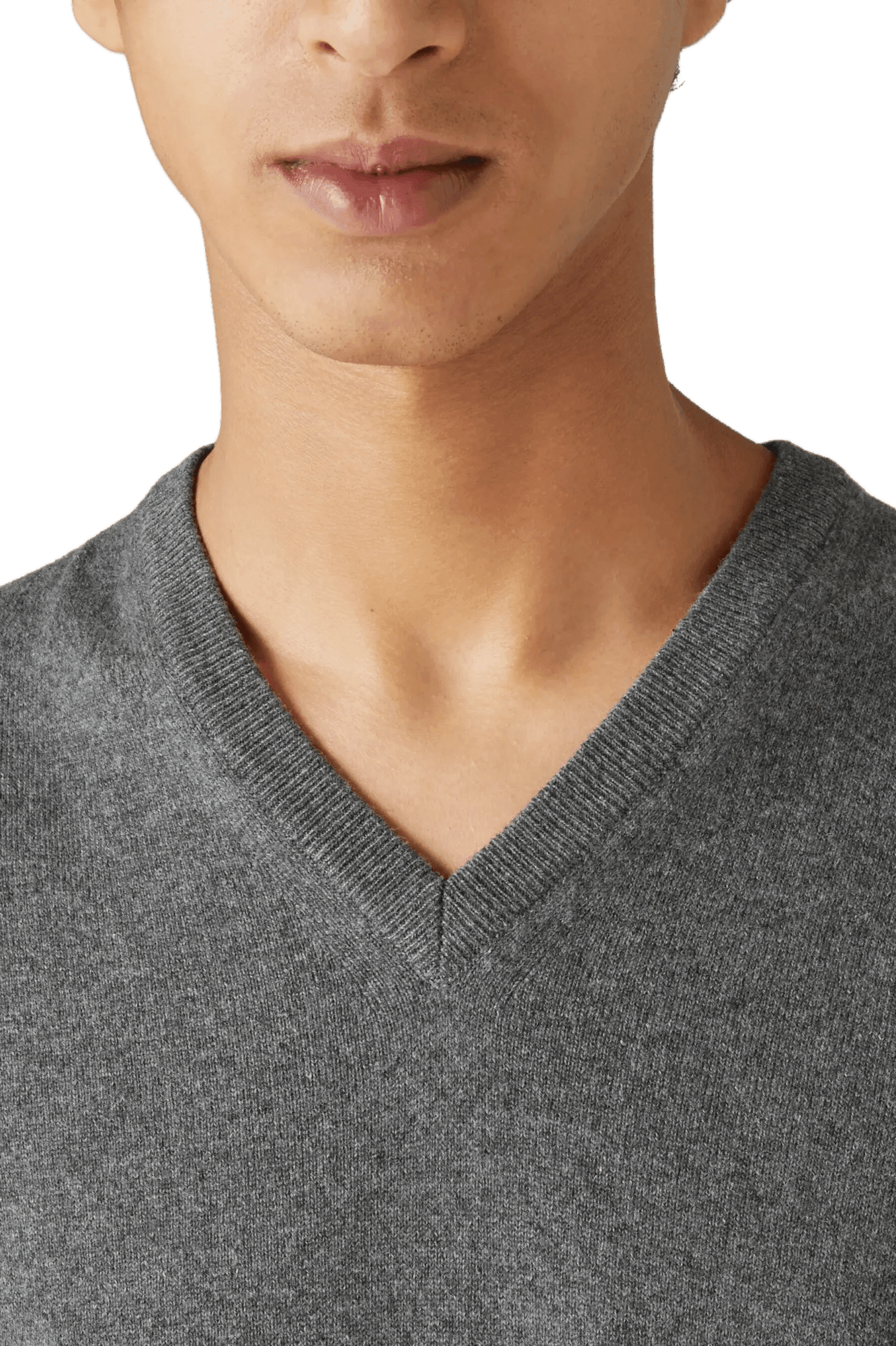 <tc>Loro Piana</tc> 男士經典V領