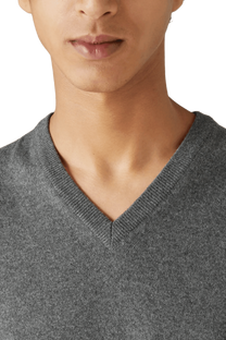 <tc>Loro Piana</tc> 男士經典V領