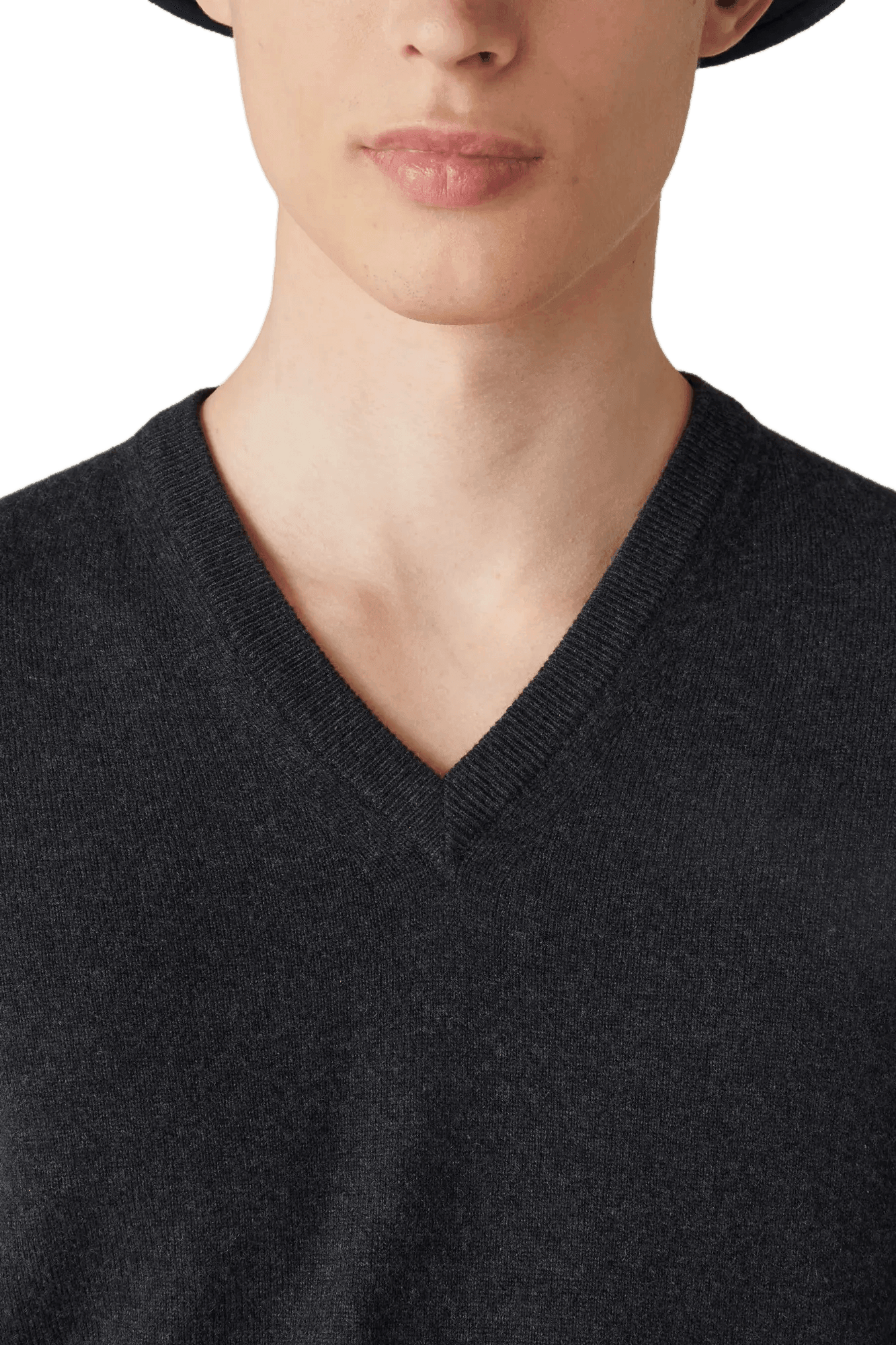 <tc>Loro Piana</tc> 男士經典V領