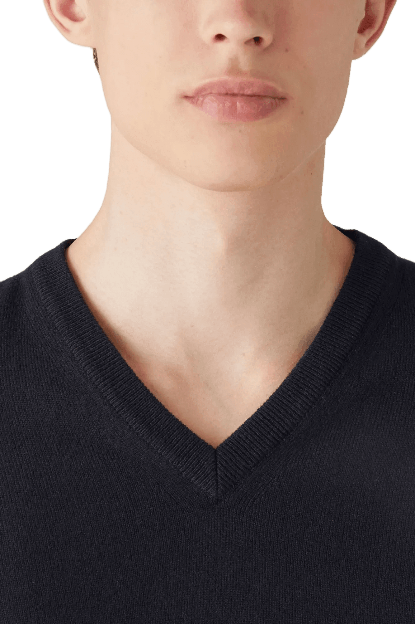 <tc>Loro Piana</tc> 男士經典V領