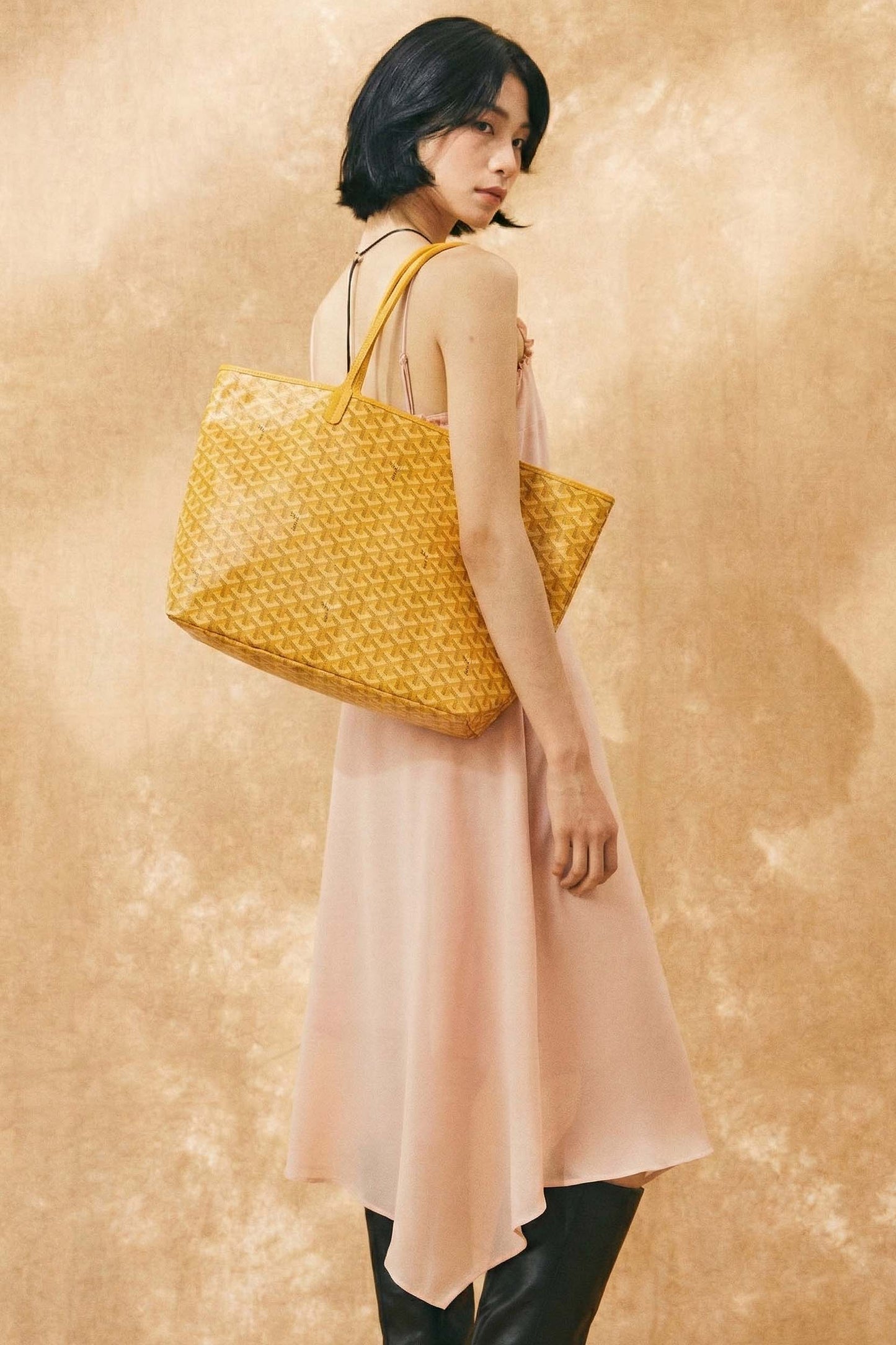 Goyard Saint Louis GM Bag