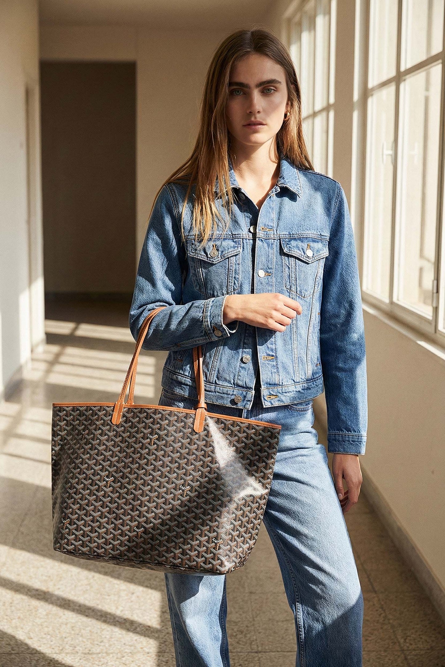 Goyard Saint Louis GM Bag