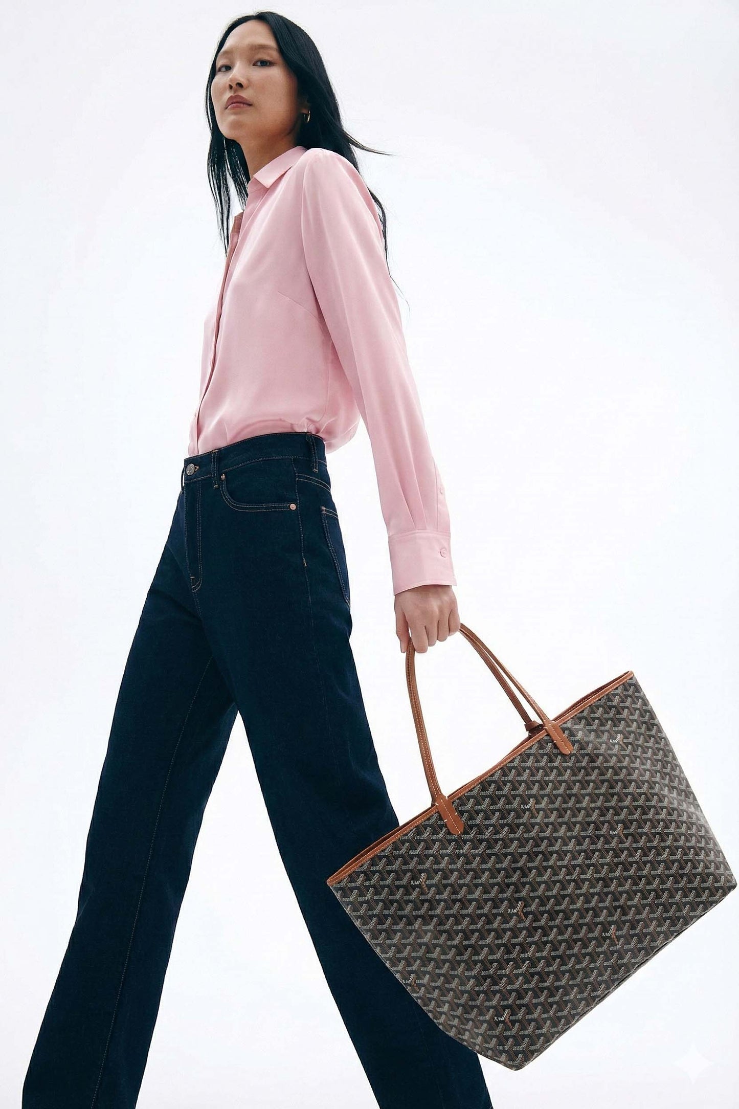Goyard Saint Louis GM Bag